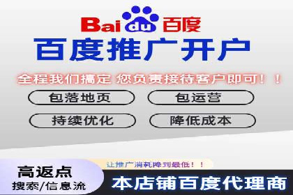 百度竞价数据分析：实战案例与优化策略